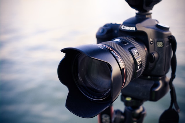 How To Turn Your Photography Passion Into A Professional Career