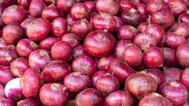 Latest and Breaking News on NDTV Latest and Breaking News on NDTV