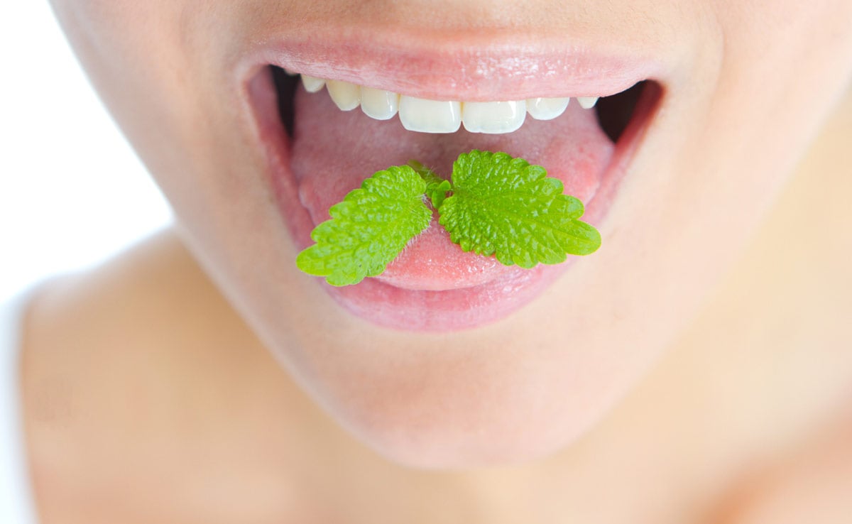 Mint leaves are refreshing. 