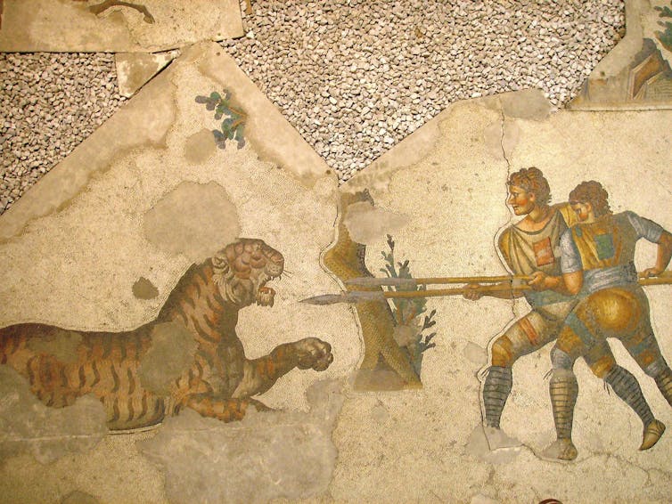 Two gladiators fighting a tiger with spears
