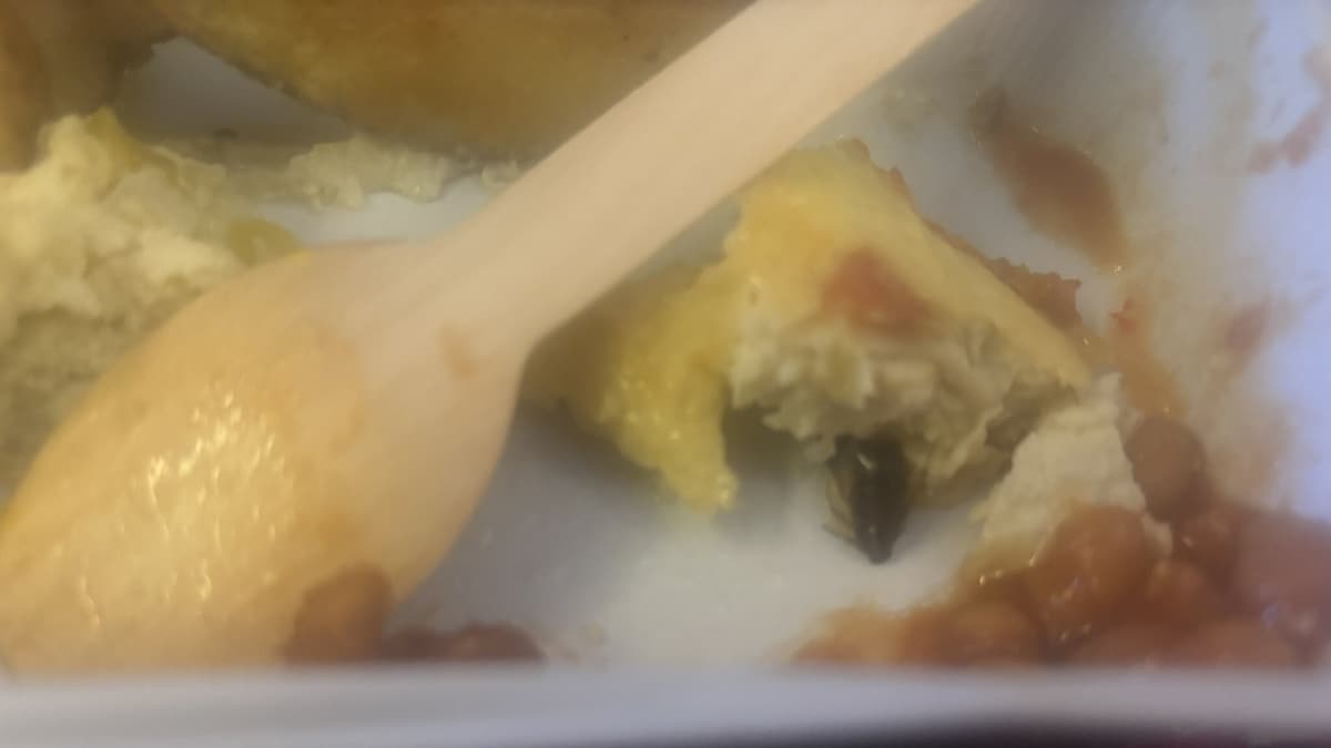 Passenger Finds Cockroach In Meal On Air India Flight From Delhi To New York, Airline Apologises