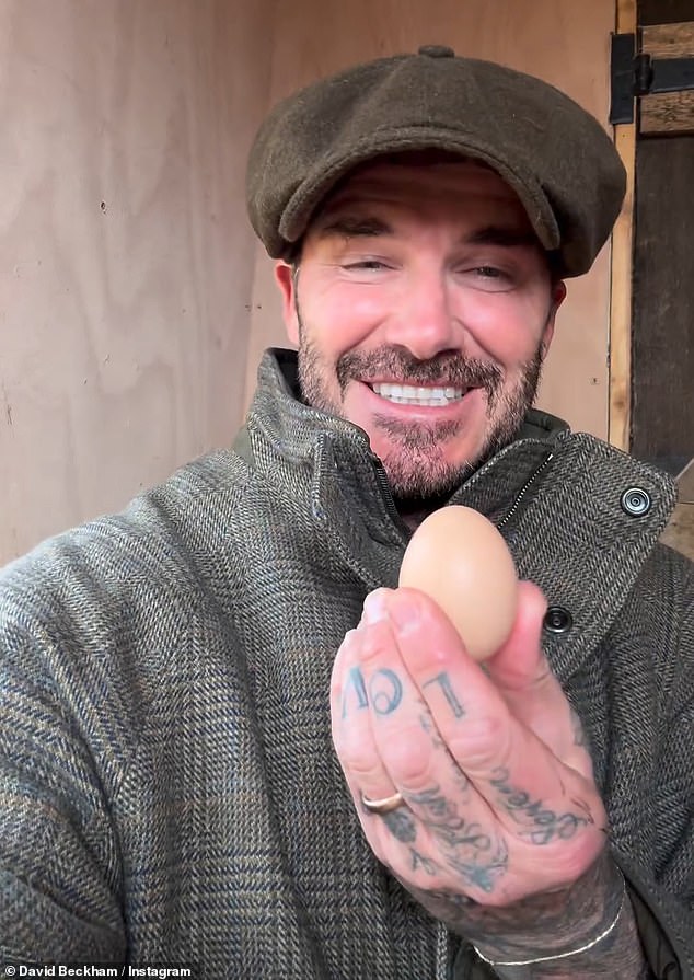 He collected his first egg from the chickens in March, after travelling to their Cotswolds home to check in on his flock