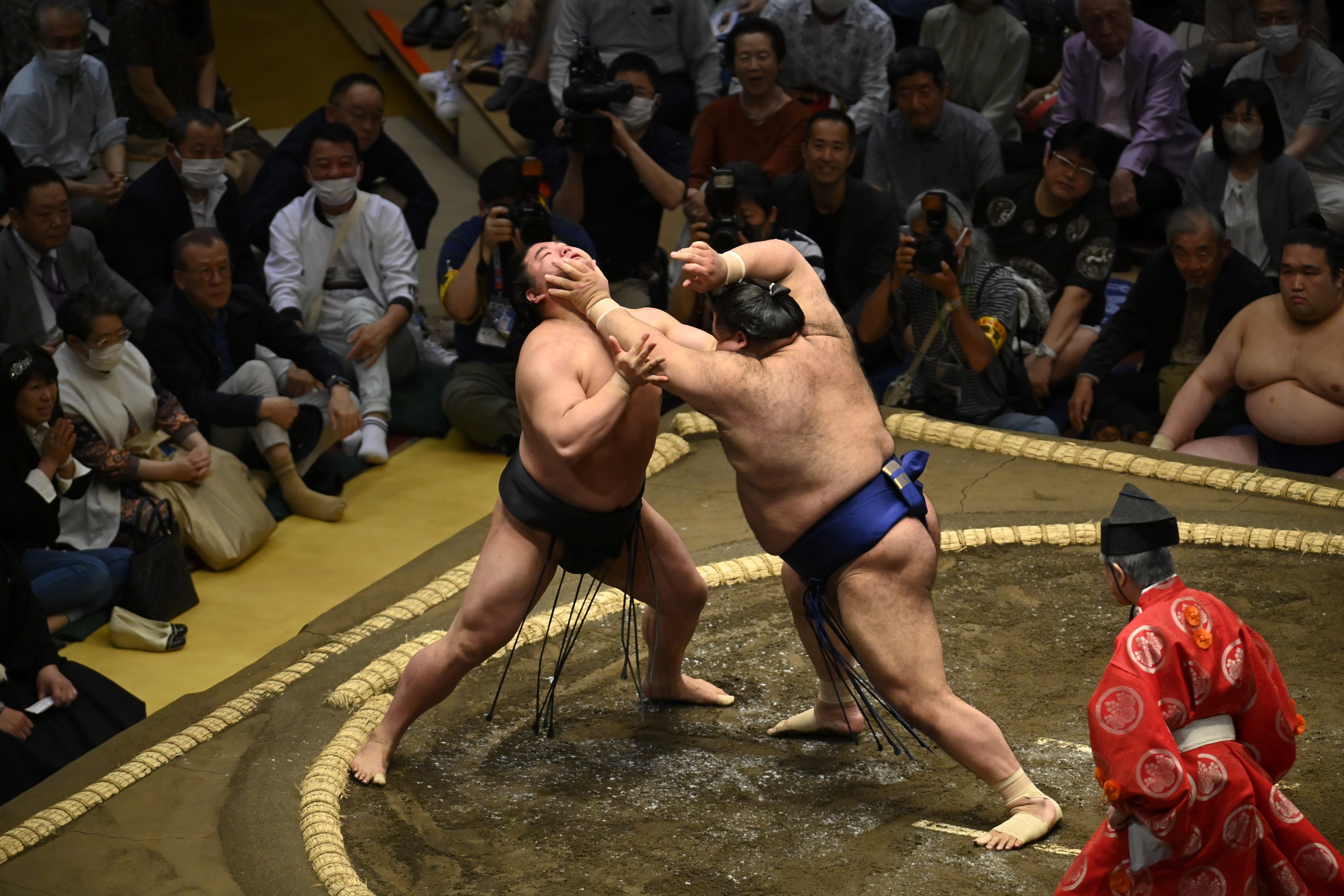 Sumo wrestlers are on average 50kg heavier than their forebears in 1950, giving rise to health problems such as diabetes and joint injury