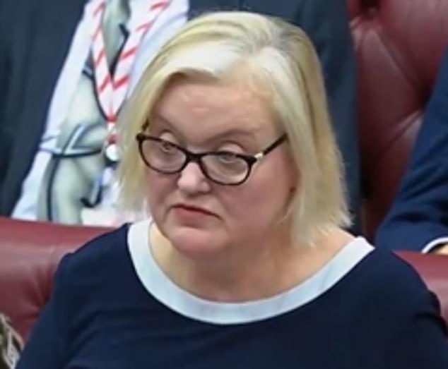 Labour peer Fiona Twycross (pictured) revealed the government had not spoken to the IOC or boxing authorities after Imane Khelif and Lin Yu-Tin won gold medals at the Paris Olympics despite allegedly failing gender tests last year
