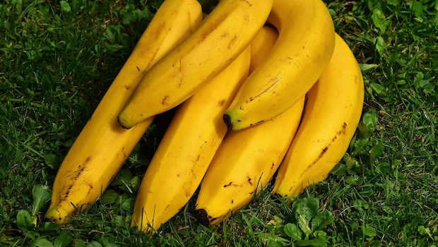 Add image caption here
