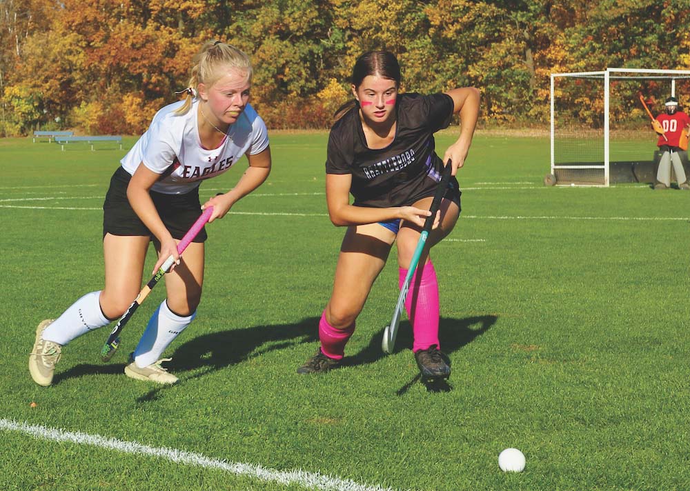 Eagle field hockey can’t quite cage bears