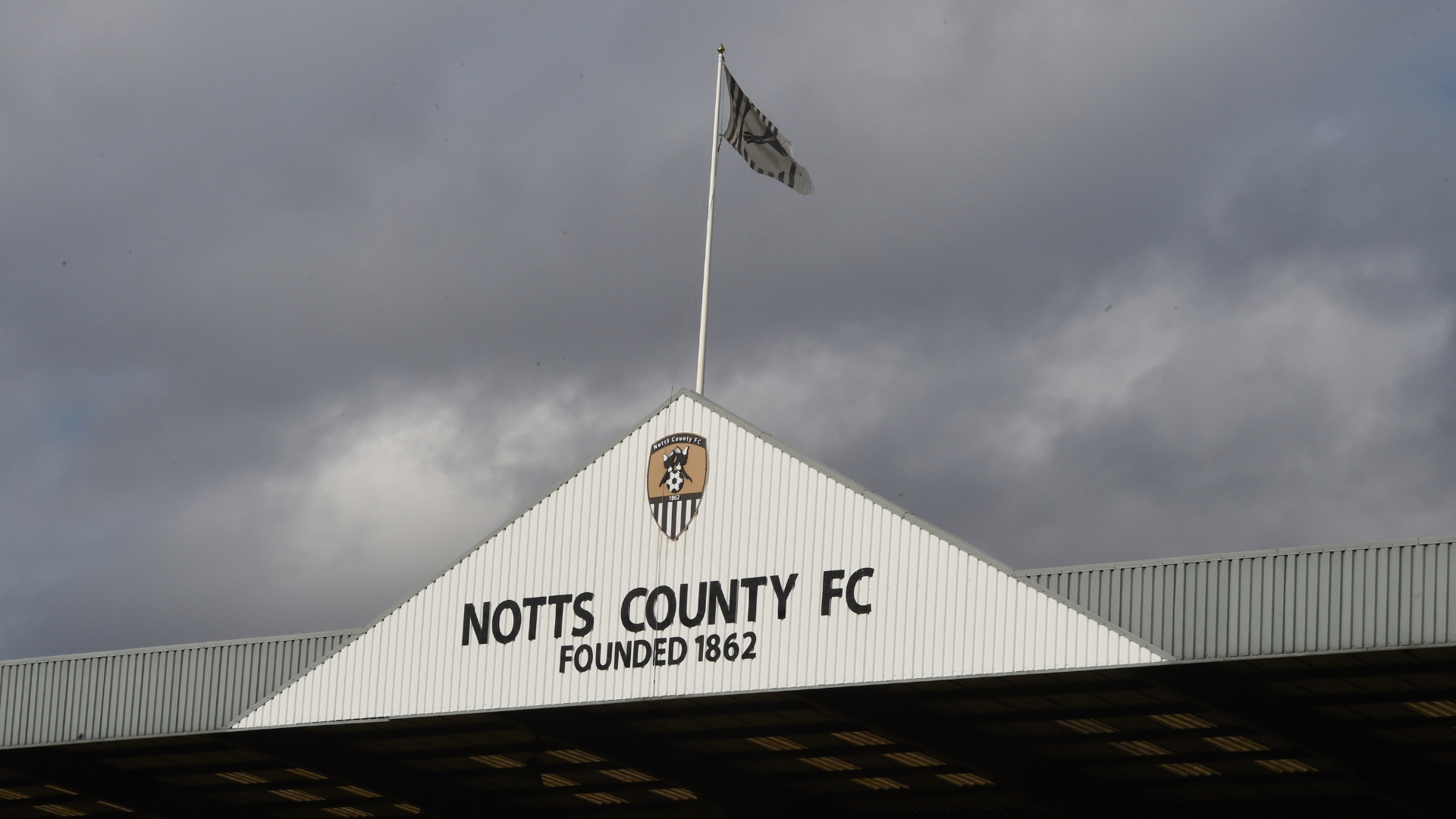 meadow lane