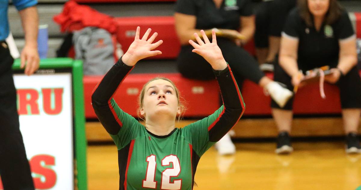 L-P volleyball, Mendota boys soccer earn No. 1 seeds in sub-sectionals – Shaw Local