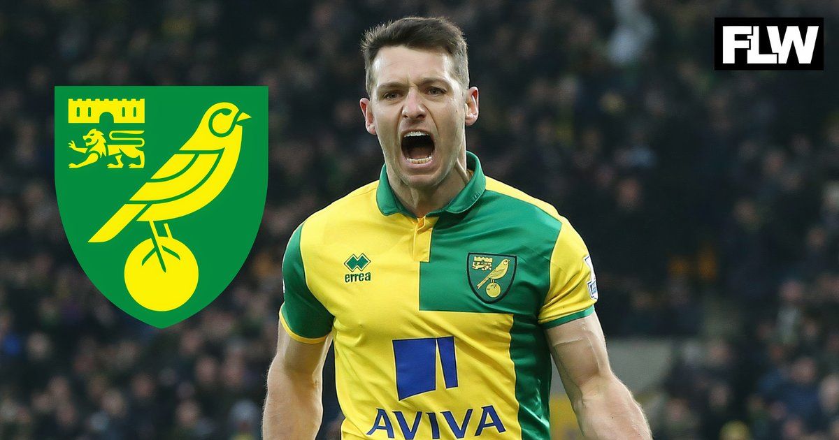 Norwich City struck gold with Wes Hoolahan who returned to football this year