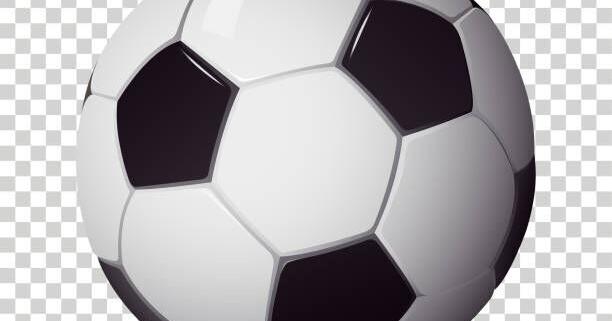 Thirty-six local soccer players named to WVHSSCA All-State teams | Journal-news