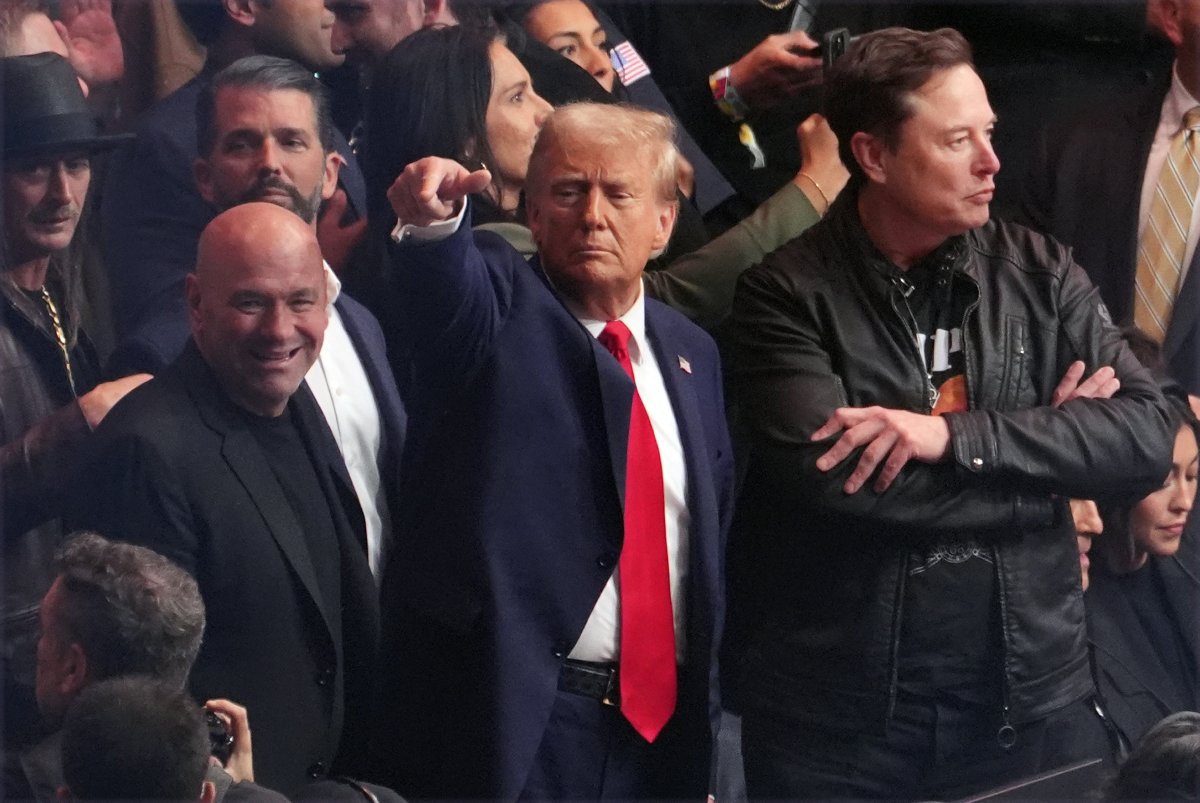 Trump UFC