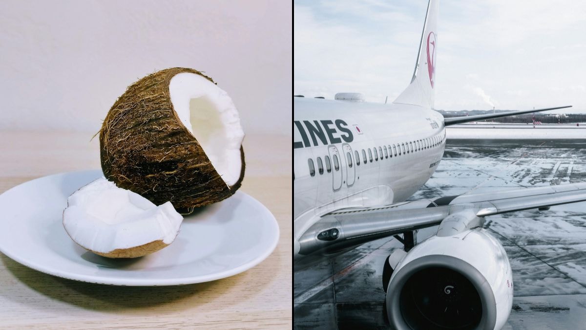 Why You Cant Board A Plane With Coconut In Your Baggage