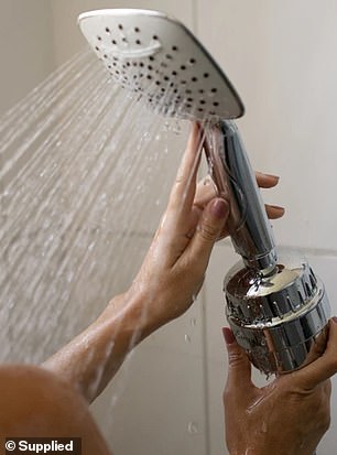 The small gadgets, which screw into all shower heads and take two minutes to install, filter out chlorine, minerals and metals such as calcium, magnesium, iron, copper and lead from shower water and add oxygen and Vitamin C