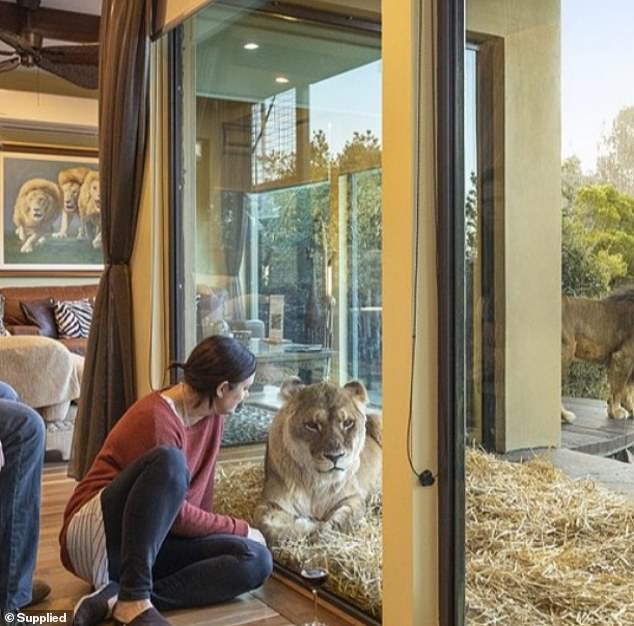 The up close one-one-one time you spend with the animals here is truly incredible, with meerkat, cheetah, bear, rhino and giraffe encounters on offer for guests
