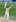 Brendon McCullum celebrates bringing up a triple century against India at the Basin Reserve in 2014. Photo / NZME