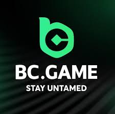 BCGame.sk Casino A Comprehensive Overview